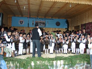 DSC07856