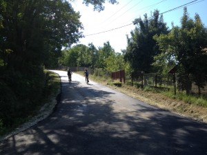 IMG_1781
