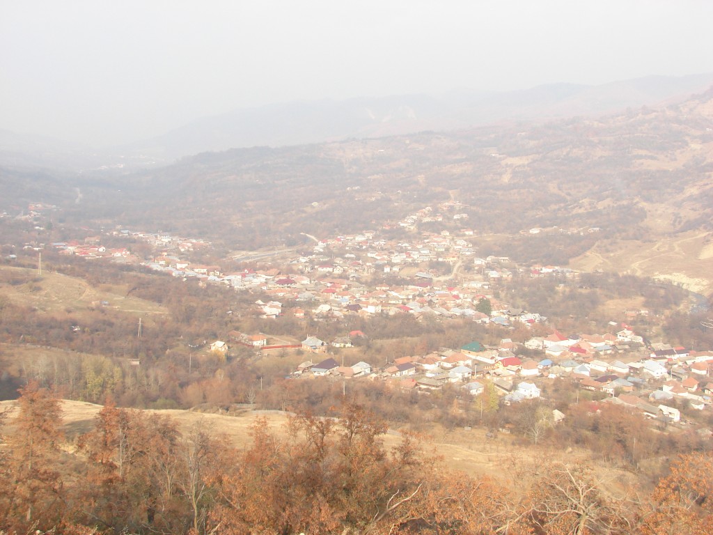 DSC08558