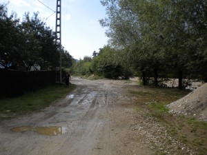 DSCN7621