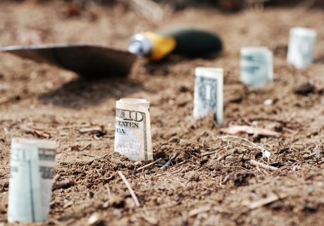 cele-mai-profitabile-culturi-agricole-in-2015