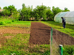 Cod_fiscal_-_Impozitare_terenuri_agricole_din_intravilan