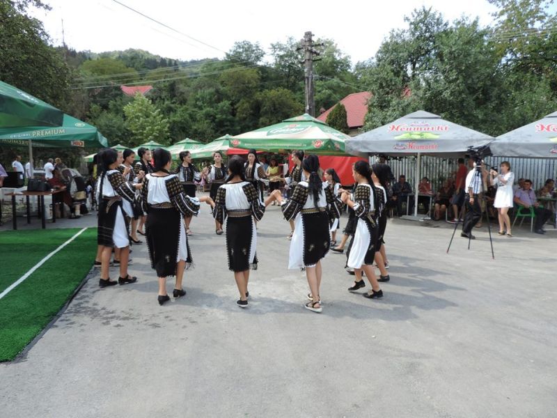 4247ZiPoenareipozamicaptcolaj---Copie